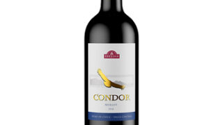 ワイン トップバリュ・コンドル・メルロー / トップバリュ(TOPVALU CONDOR Merlot) チリ 赤 ミディアムボディ 750ml