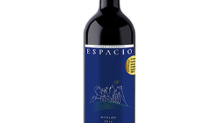 ワイン エスパシオ メルロー(ESPACIO Merlot) チリ 赤 ミディアムボディ 750ml