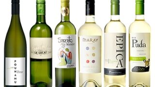 ワイン 金賞入り！世界のソーヴィニヨンブラン6本セット / オリジナル(Sauvignon Blanc white wine six bottle sets) その他 白 辛口 4500ml