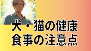 犬・猫の健康について知ろう！食事の基本と注意点